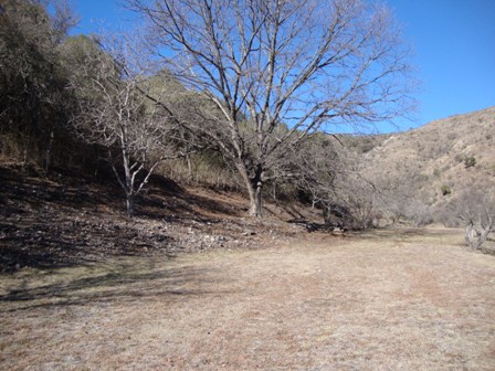 OPORTUNIDAD! 7 HECTAREAS EN LAS JARILLAS, CON PLANTACIÓN DE NOGALES Y VERTIENTE NATURAL — foto 8
