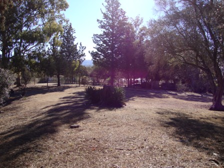 OPORTUNIDAD! 7 HECTAREAS EN LAS JARILLAS, CON PLANTACIÓN DE NOGALES Y VERTIENTE NATURAL — foto 10