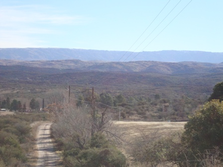 OPORTUNIDAD! 7 HECTAREAS EN LAS JARILLAS, CON PLANTACIÓN DE NOGALES Y VERTIENTE NATURAL — foto 13