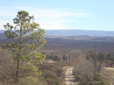 OPORTUNIDAD! 7 HECTAREAS EN LAS JARILLAS, CON PLANTACIÓN DE NOGALES Y VERTIENTE NATURAL — foto 14