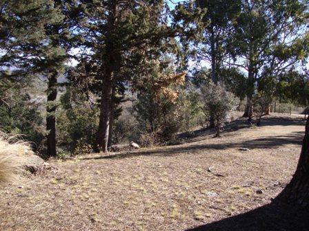 OPORTUNIDAD! 7 HECTAREAS EN LAS JARILLAS, CON PLANTACIÓN DE NOGALES Y VERTIENTE NATURAL — foto 15