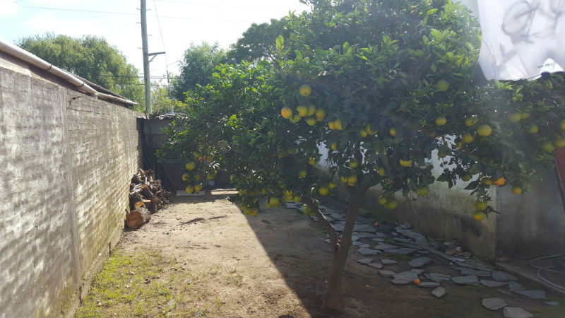 Venta de departamento con galpon — foto 4