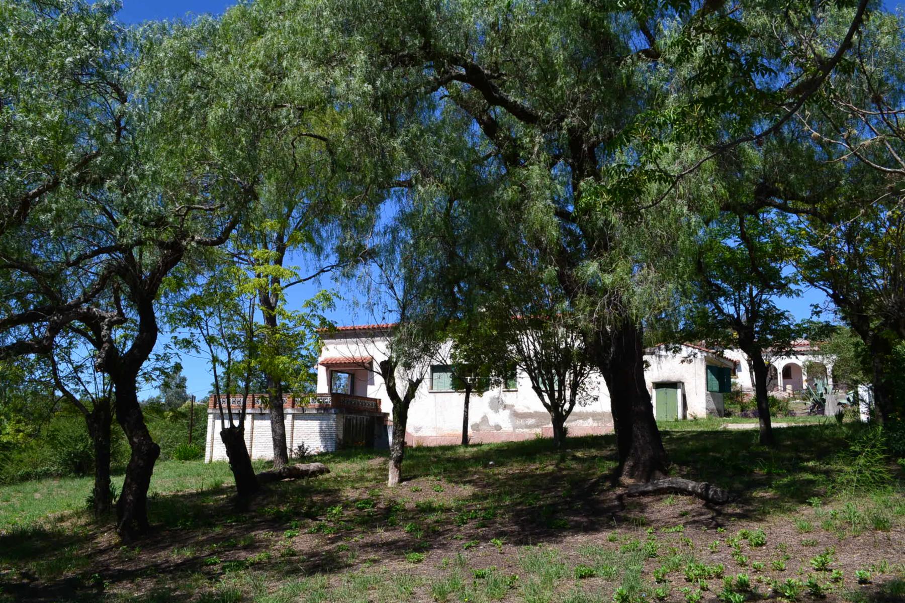 De Blasis Bienes Raices vende Antigua propiedad en zona centro, Tanti — foto 3
