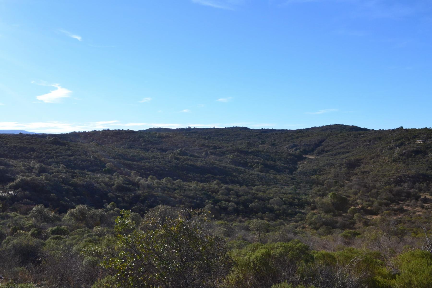 SE VENDE UNA HECTAREA EN CABALANGO, SIERRAS DE CORDOBA — foto 3