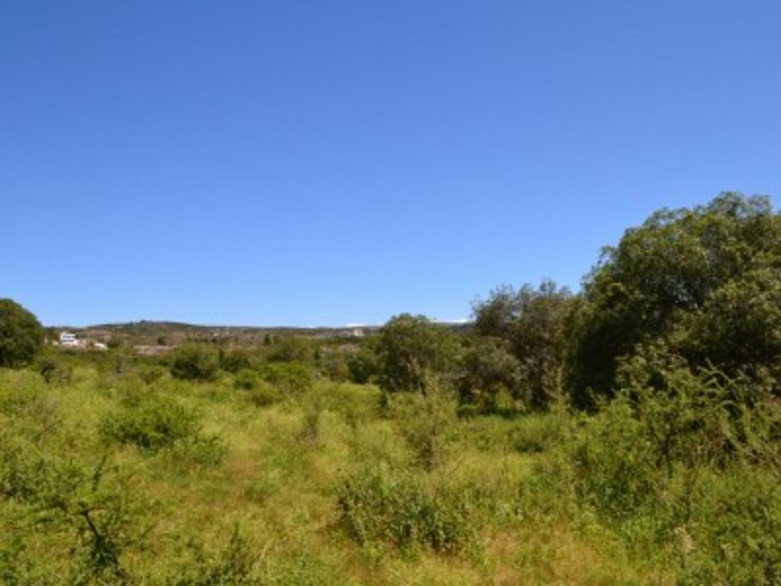 SE VENDE UNA HECTAREA CAMINO A VILLA FLOR SERRANA, TANTI — foto 4