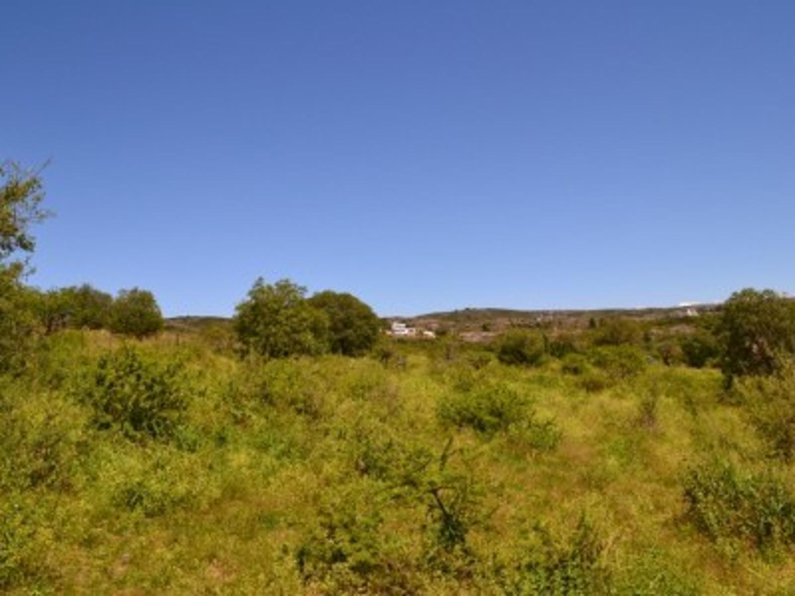 SE VENDE UNA HECTAREA CAMINO A VILLA FLOR SERRANA, TANTI — foto 5