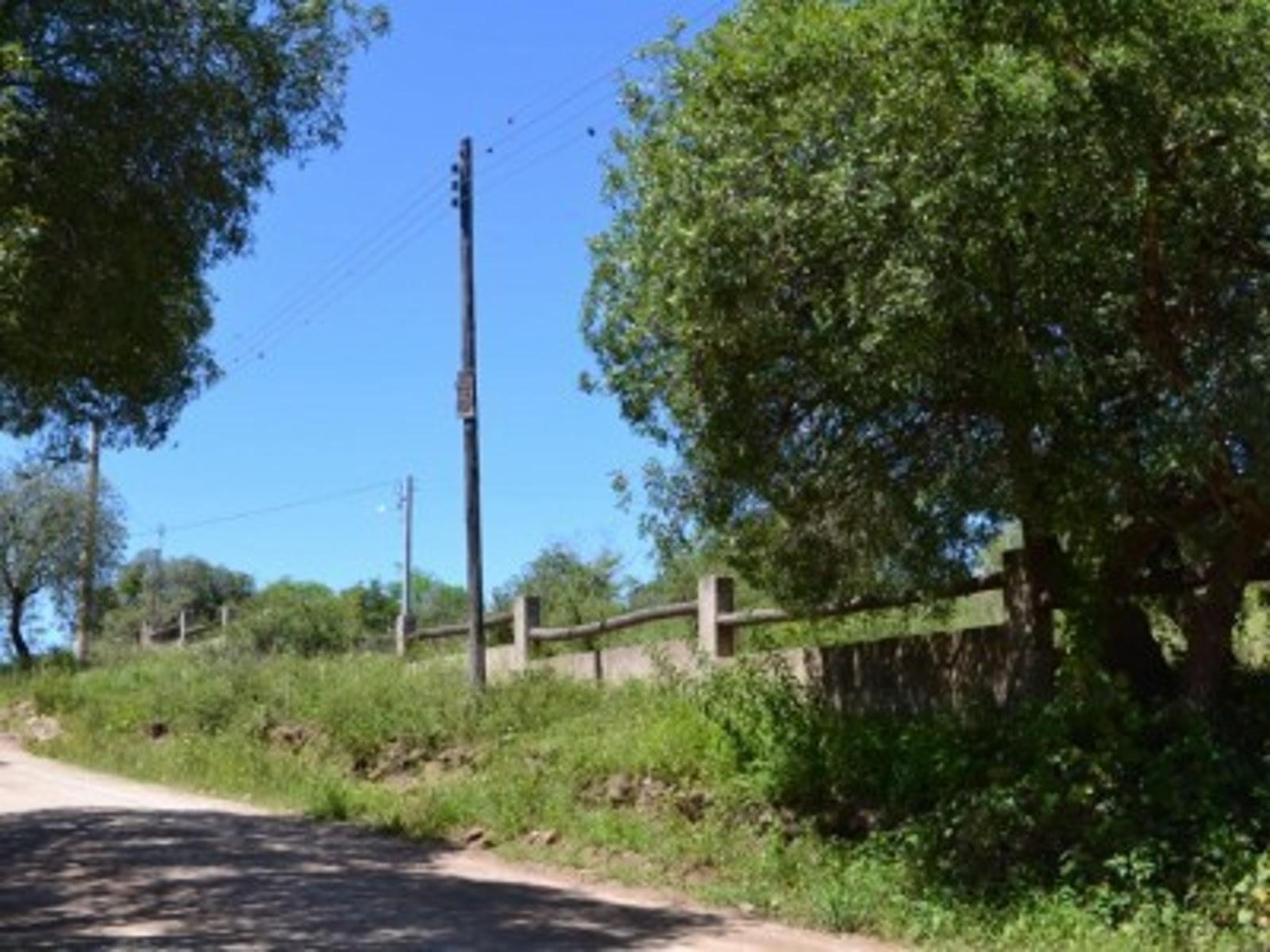 SE VENDE UNA HECTAREA CAMINO A VILLA FLOR SERRANA, TANTI — foto 6