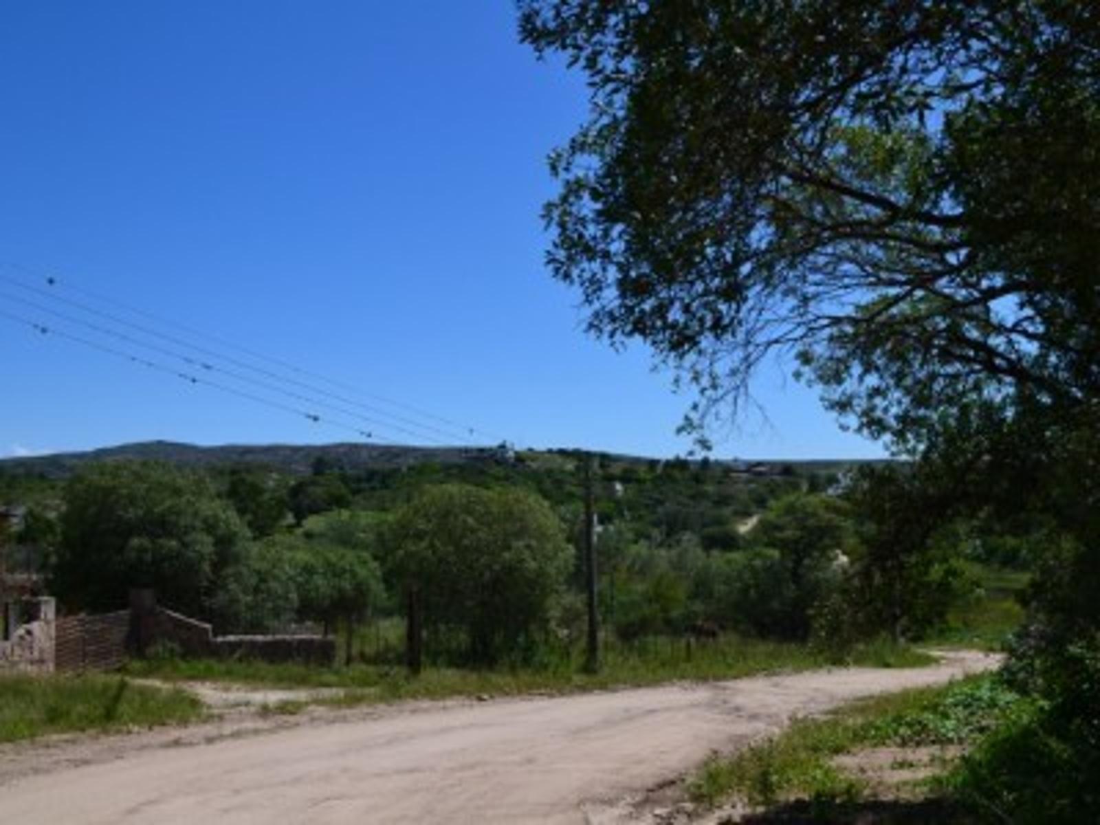 SE VENDE UNA HECTAREA CAMINO A VILLA FLOR SERRANA, TANTI — foto 7