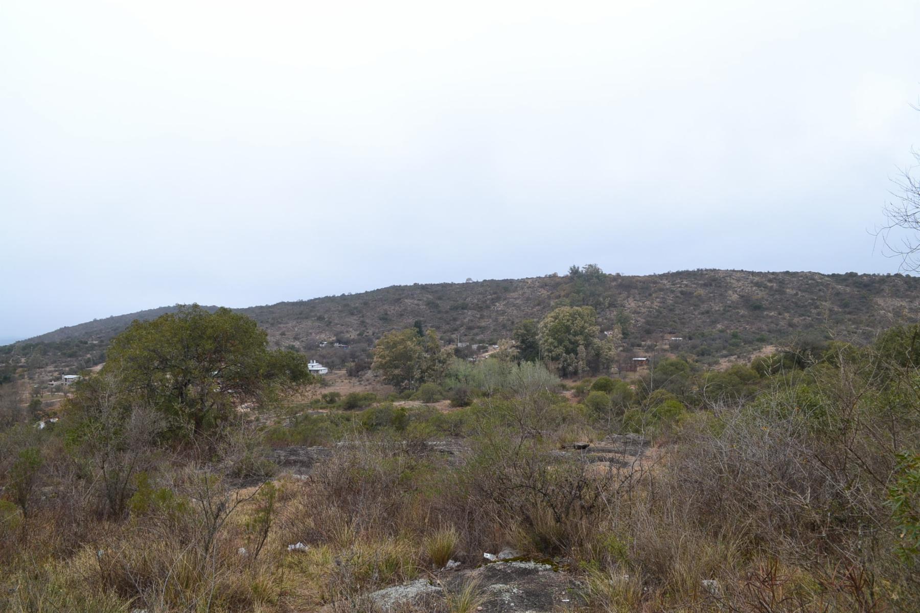 TERRENOS EN VILLA SAN MIGUEL, TANTI — foto 13