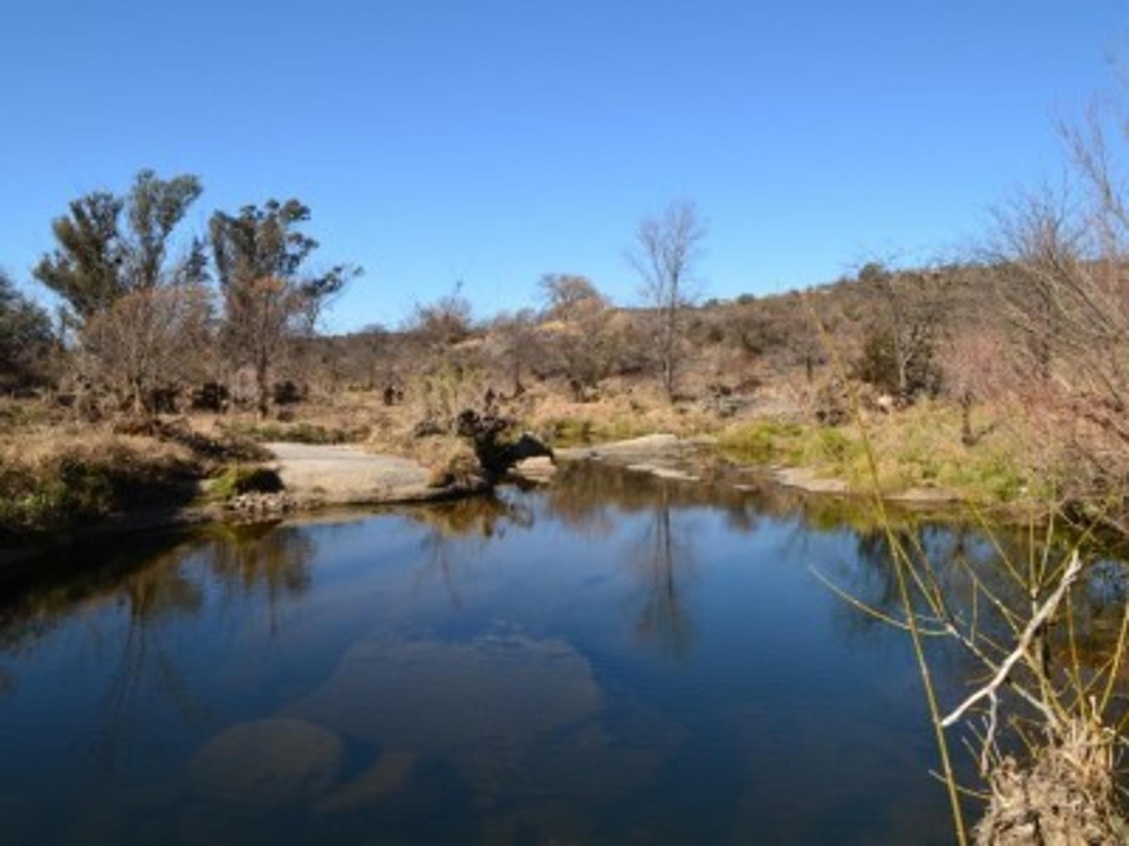 CHACRA DE 12 HECTAREAS EN TANTI - 7