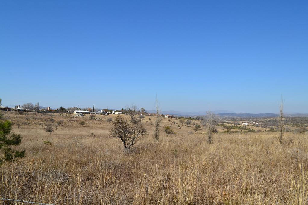 Apto para loteo 10 hectáreas al ingreso a TANTI
Vende De Blasis Bienes Raices — foto 4