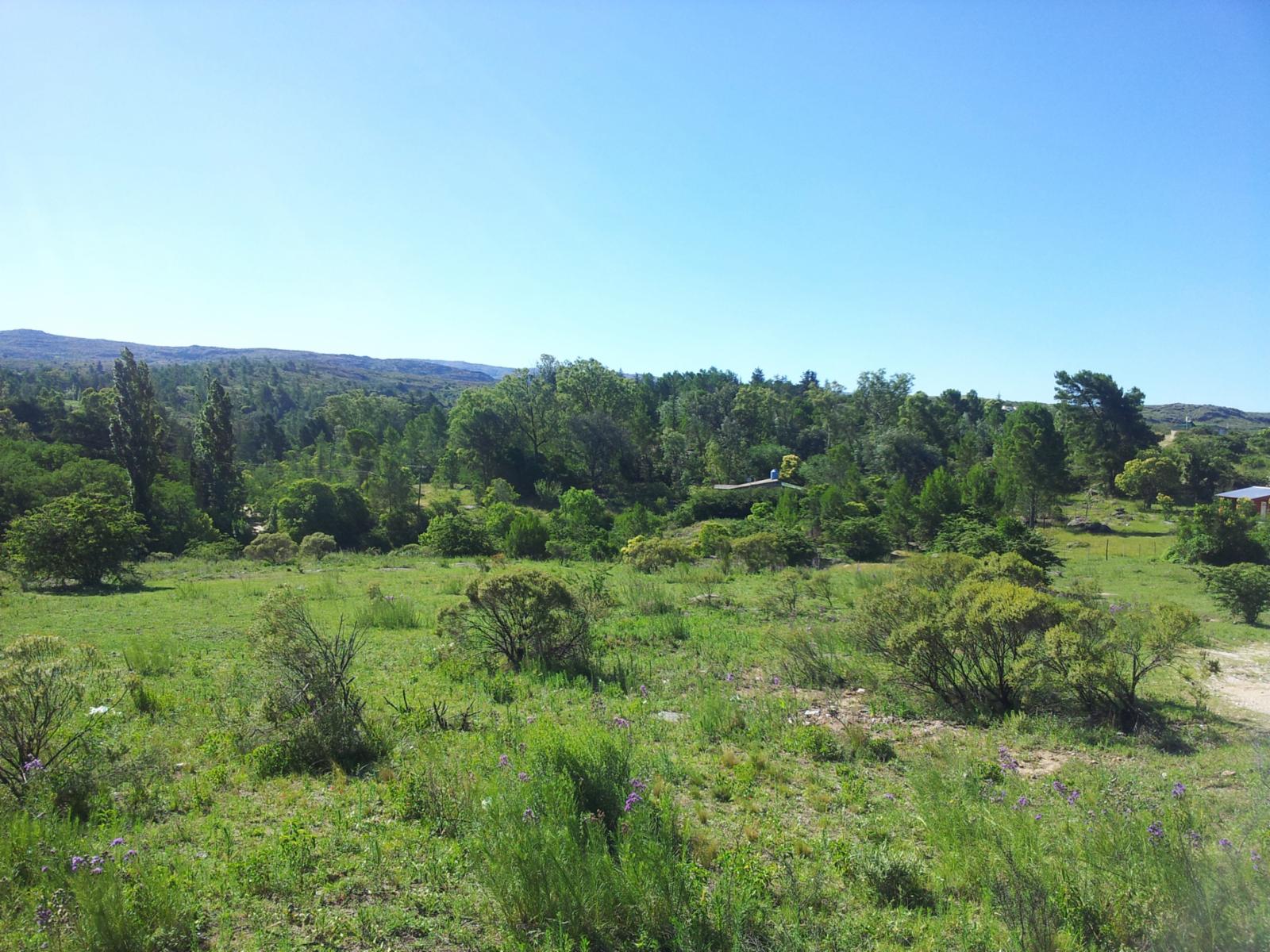 De Blasis Bienes Raices vende Hermoso terreno en TANTI LOMAS — foto 4