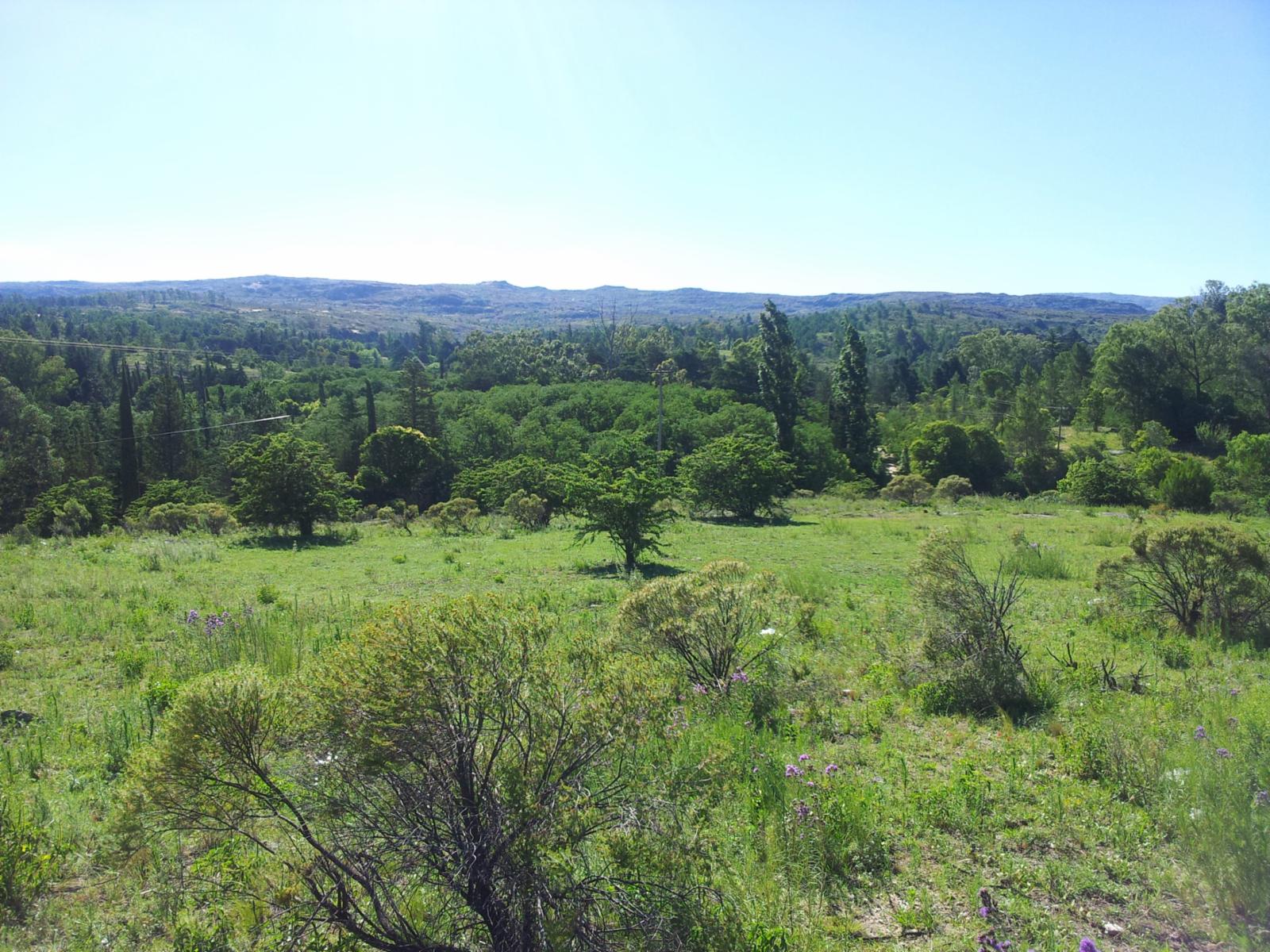 De Blasis Bienes Raices vende Hermoso terreno en TANTI LOMAS — foto 6