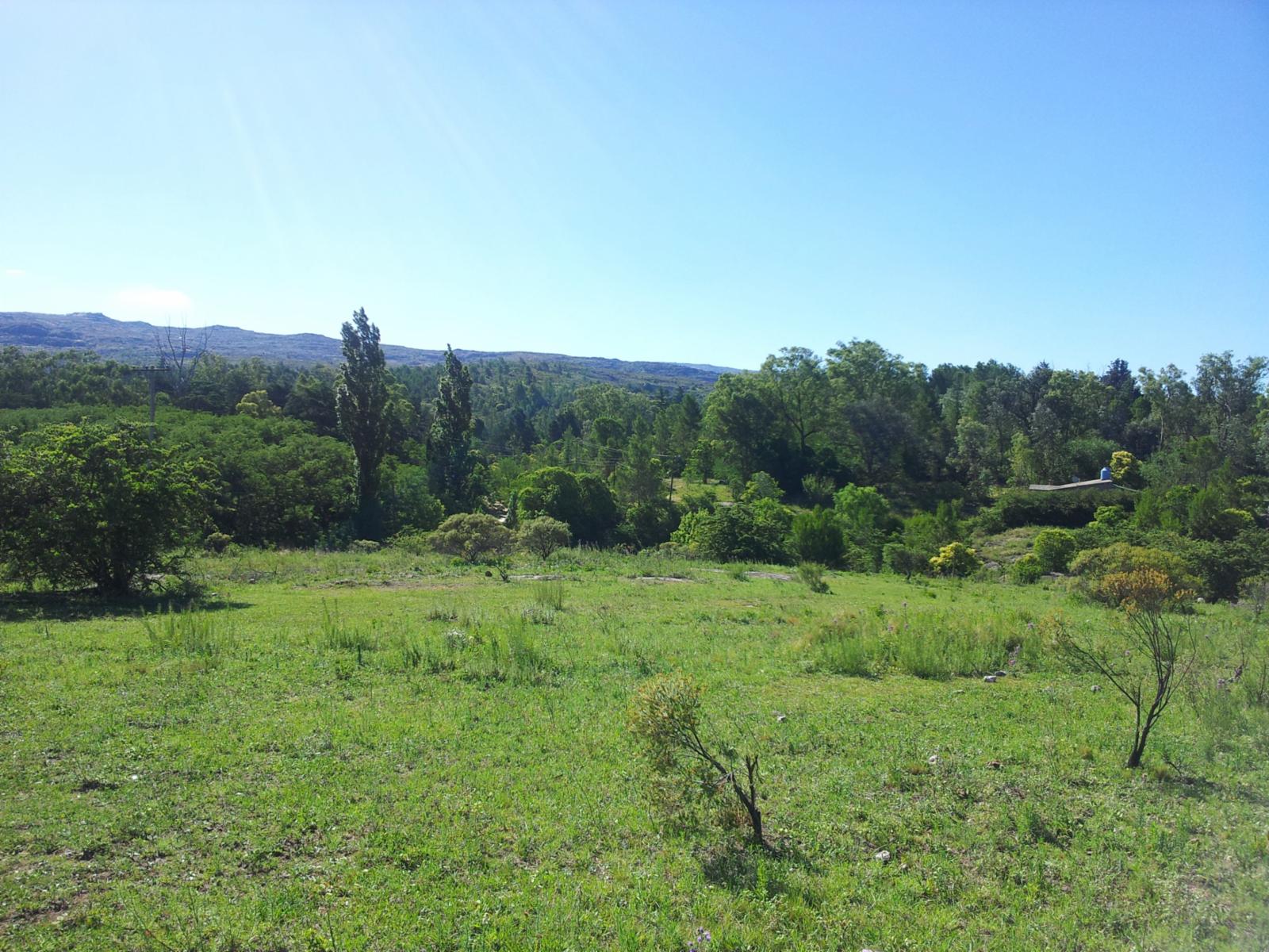 De Blasis Bienes Raices vende Hermoso terreno en TANTI LOMAS — foto 7