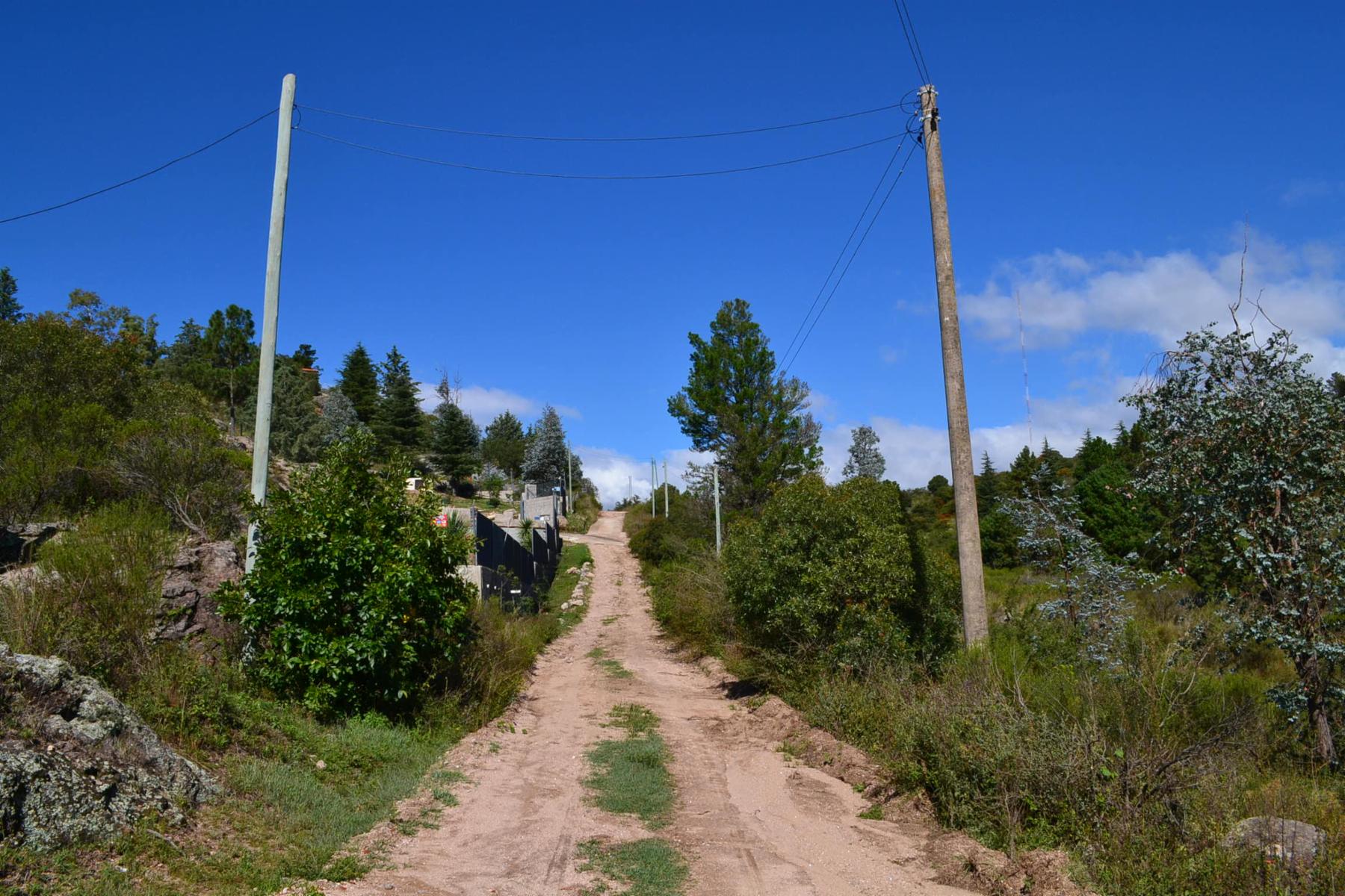 De Blasis Bienes Raices vende Hermoso terreno en TANTI LOMAS — foto 8