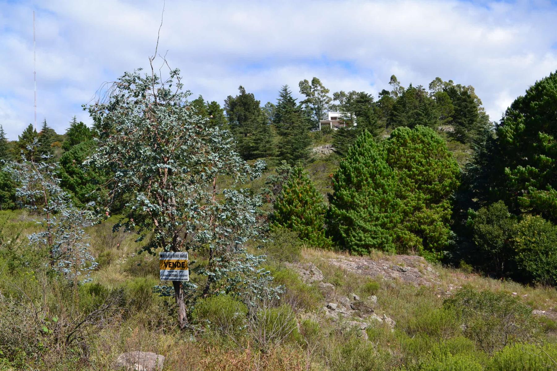 De Blasis Bienes Raices vende Hermoso terreno en TANTI LOMAS — foto 10