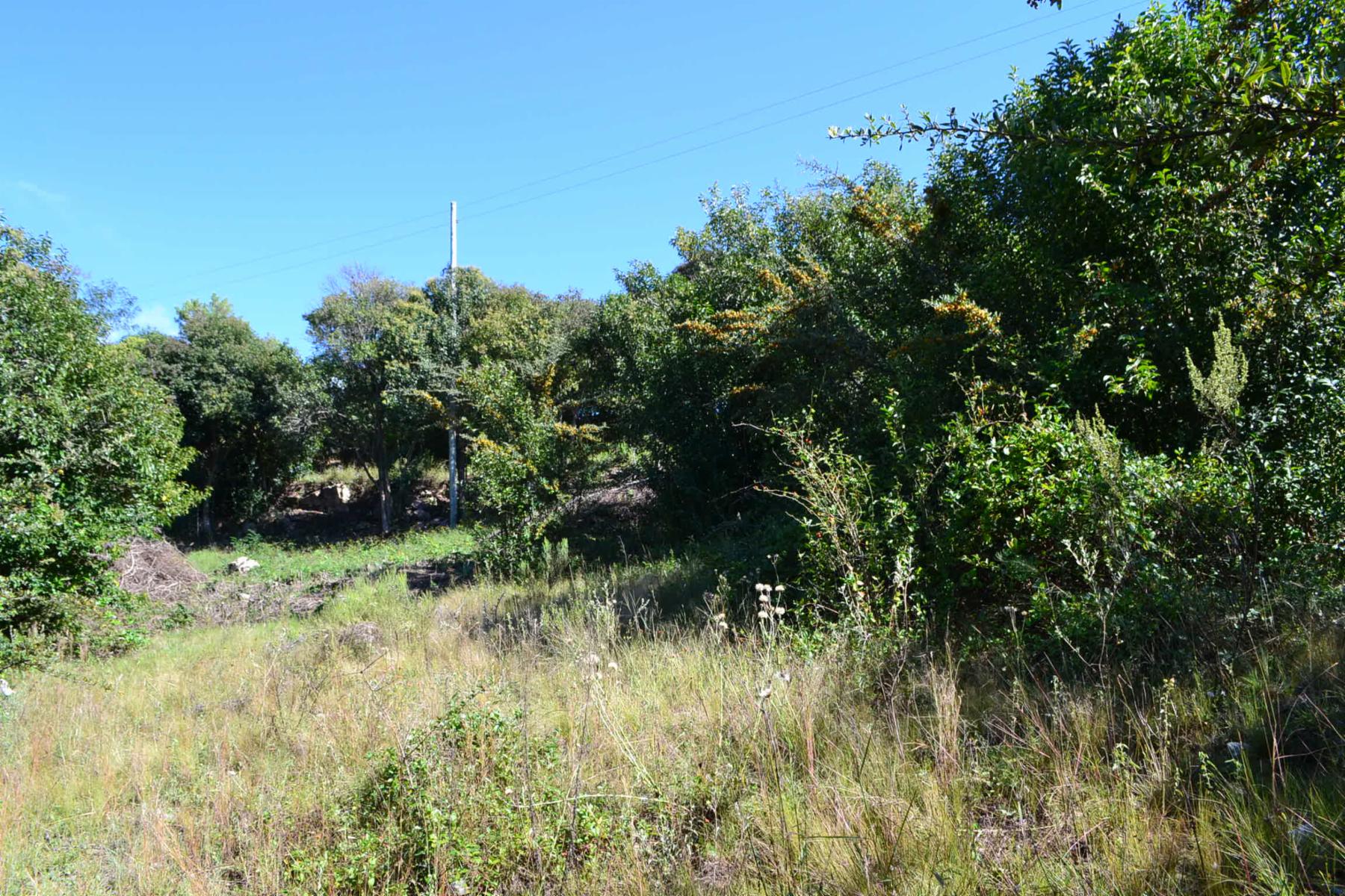 De Blasis Bienes Raices vende Hermoso terreno en TANTI LOMAS — foto 11