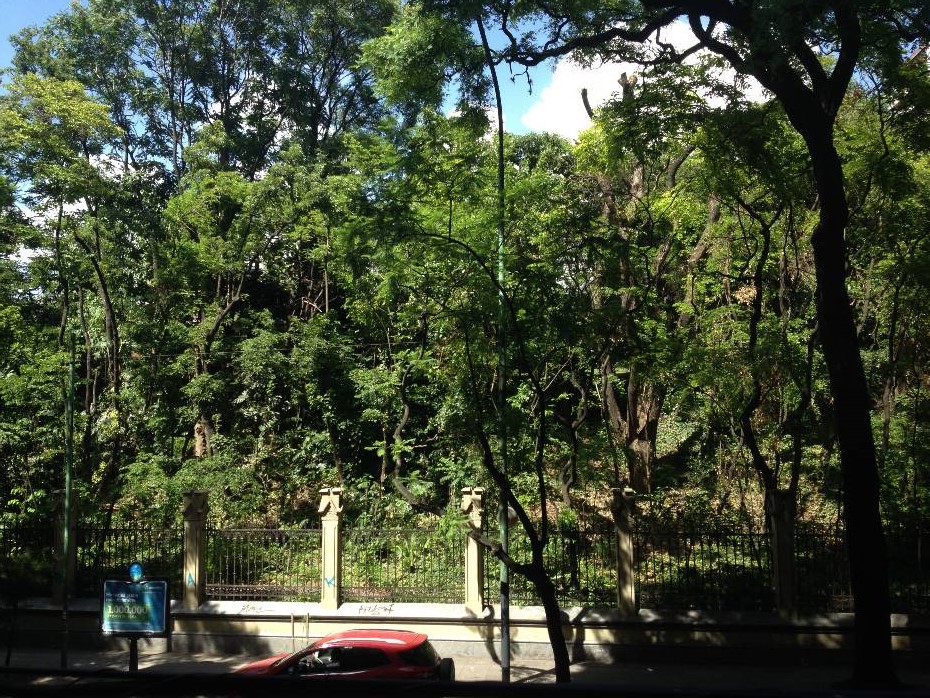 Muy buen dos dormitorios con Dependencias. Edificio con amenities y seguridad - 11