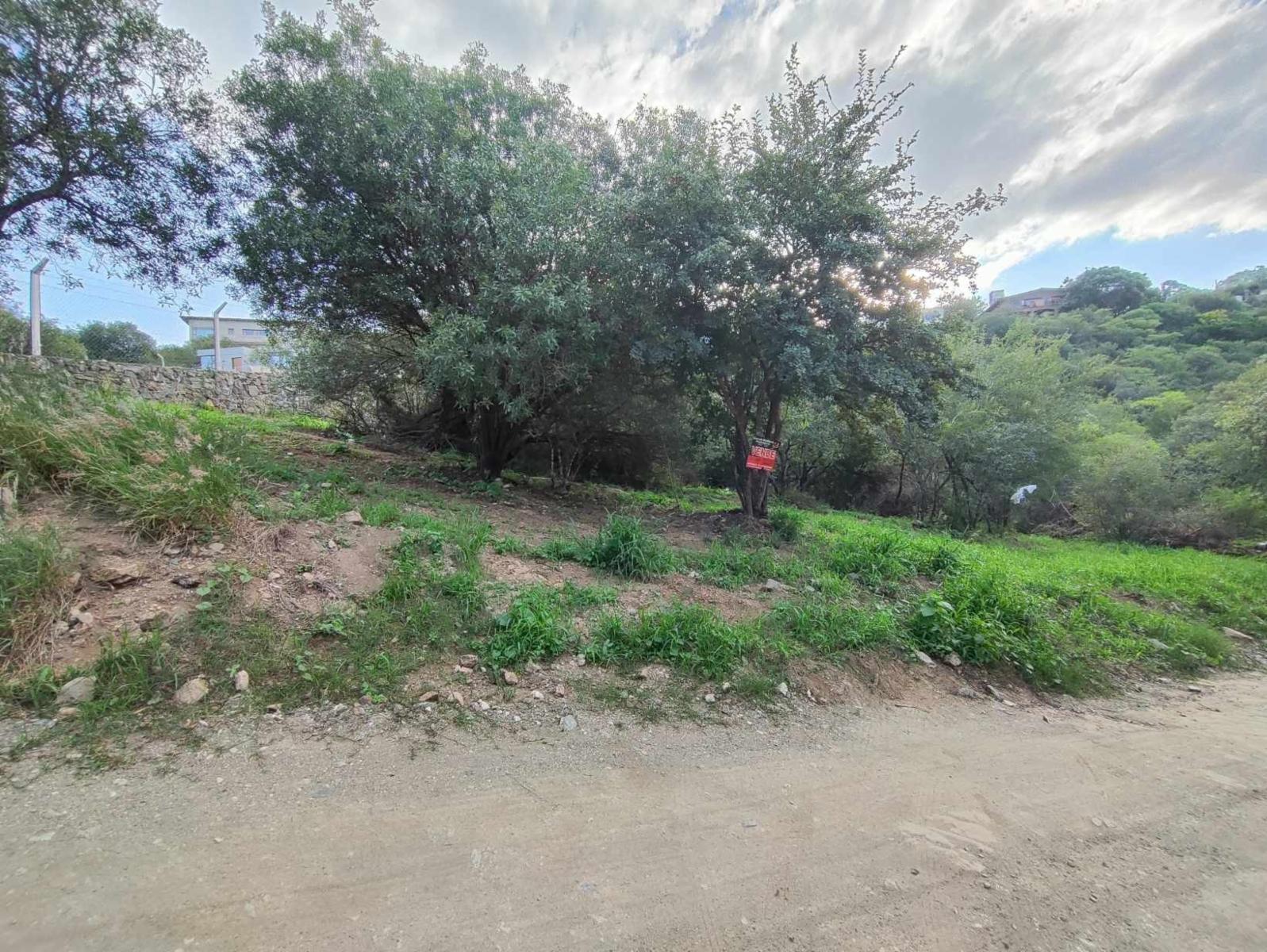 DOS TERRENOS COLINDANTES EN BARRIO VILLA DEL LAGO, VILLA CARLOS PAZ, CORDOBA — foto 2