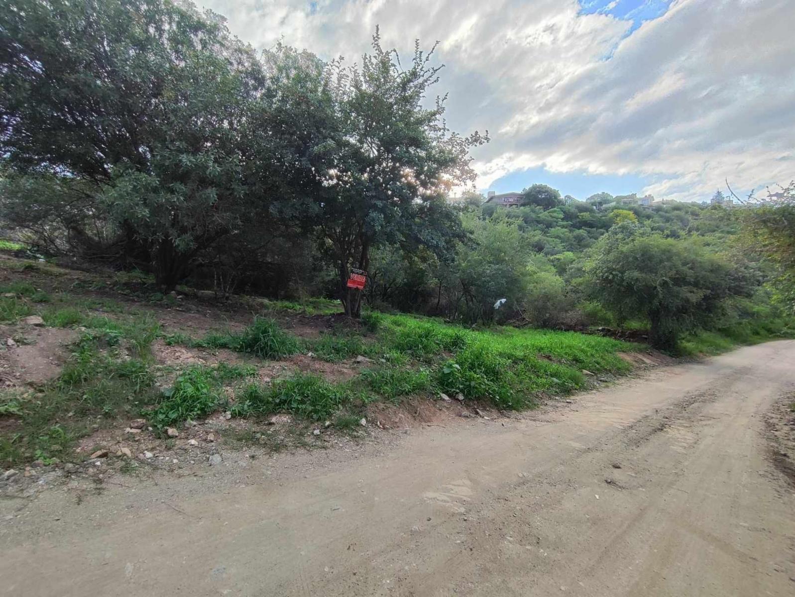 DOS TERRENOS COLINDANTES EN BARRIO VILLA DEL LAGO, VILLA CARLOS PAZ, CORDOBA — foto 8