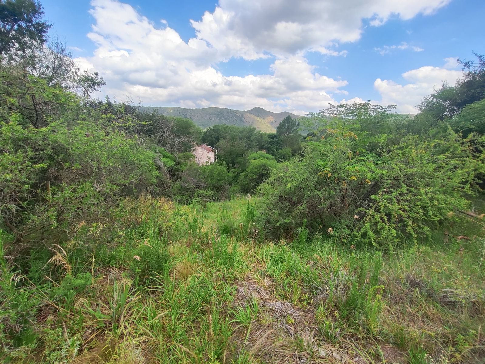 TERRENO EN VENTA EN SAN ANTONIO DE ARREDONDO, CORDOBA — foto 3