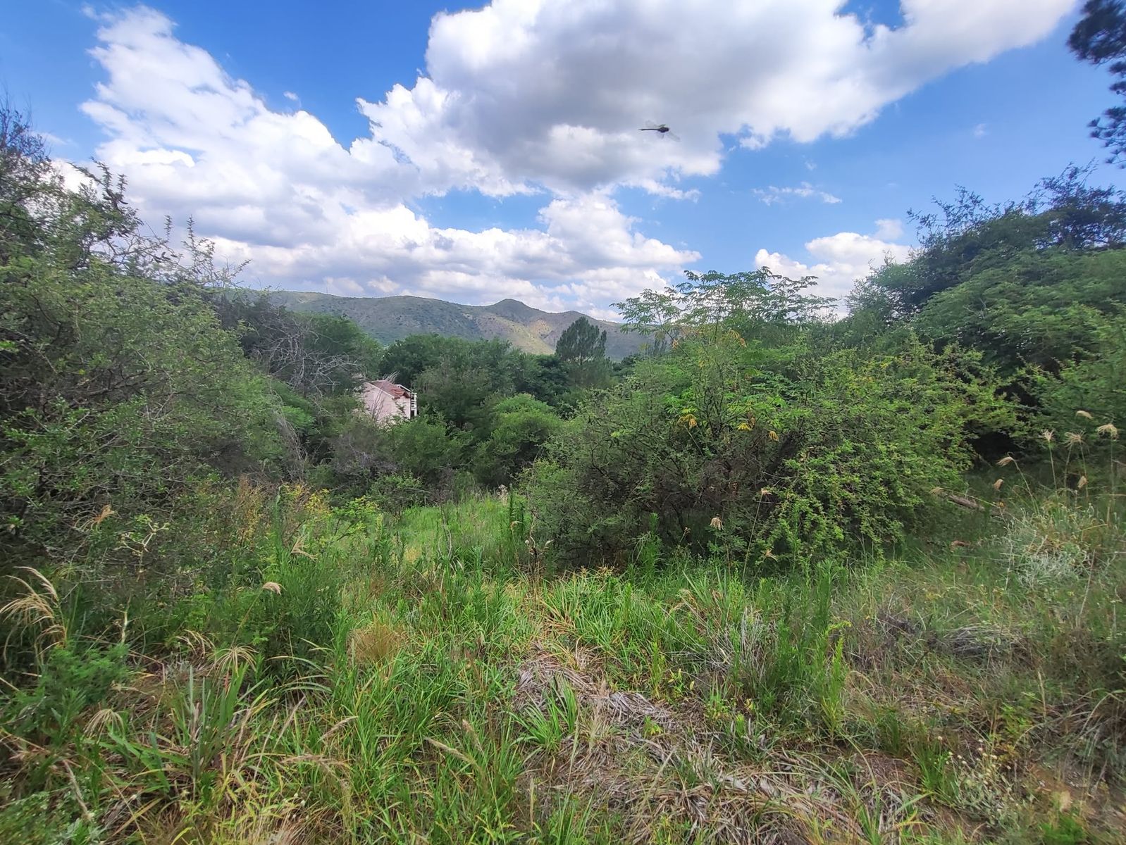 TERRENO EN VENTA EN SAN ANTONIO DE ARREDONDO, CORDOBA — foto 4