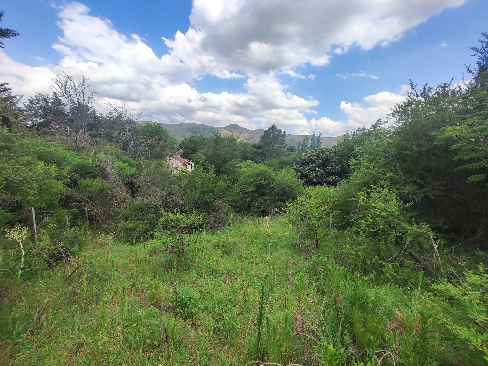TERRENO EN VENTA EN SAN ANTONIO DE ARREDONDO, CORDOBA — foto 7