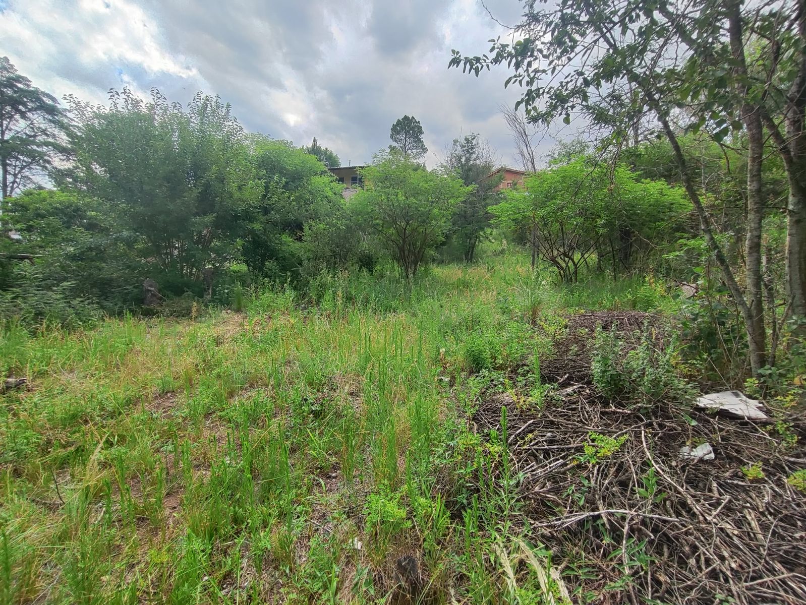 TERRENO EN VENTA EN SAN ANTONIO DE ARREDONDO, CORDOBA — foto 8