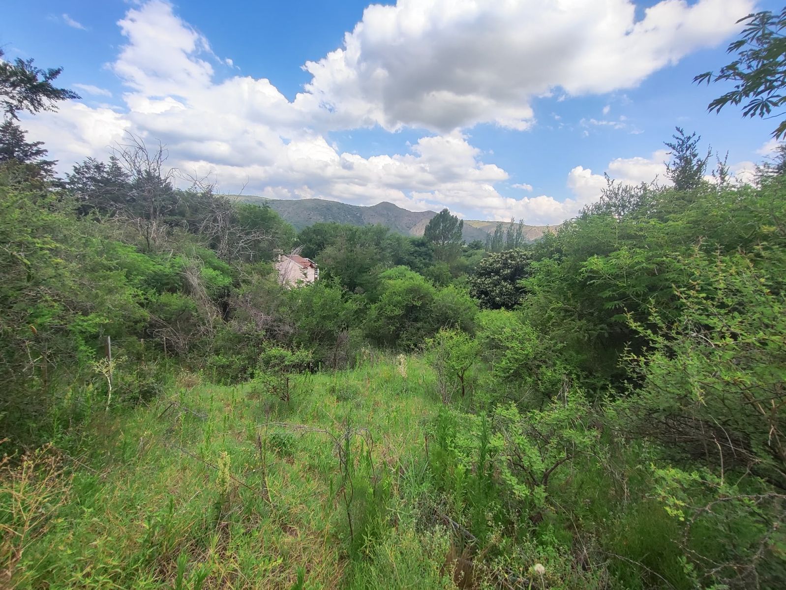 TERRENO EN VENTA EN SAN ANTONIO DE ARREDONDO, CORDOBA — foto 9