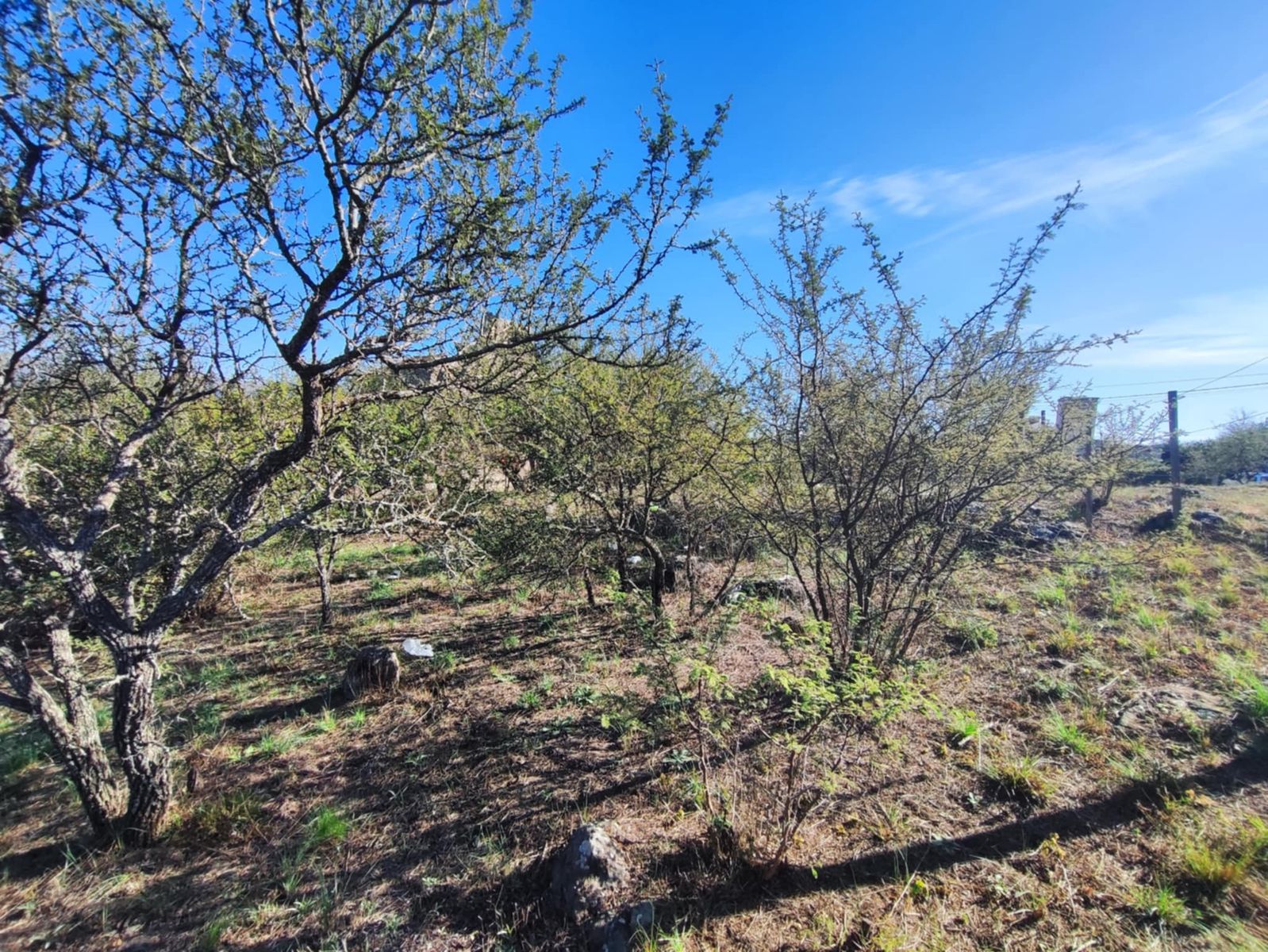 TERRENO EN VENTA EN SAN ANTONIO DE ARREDONDO, CORDOBA - 7