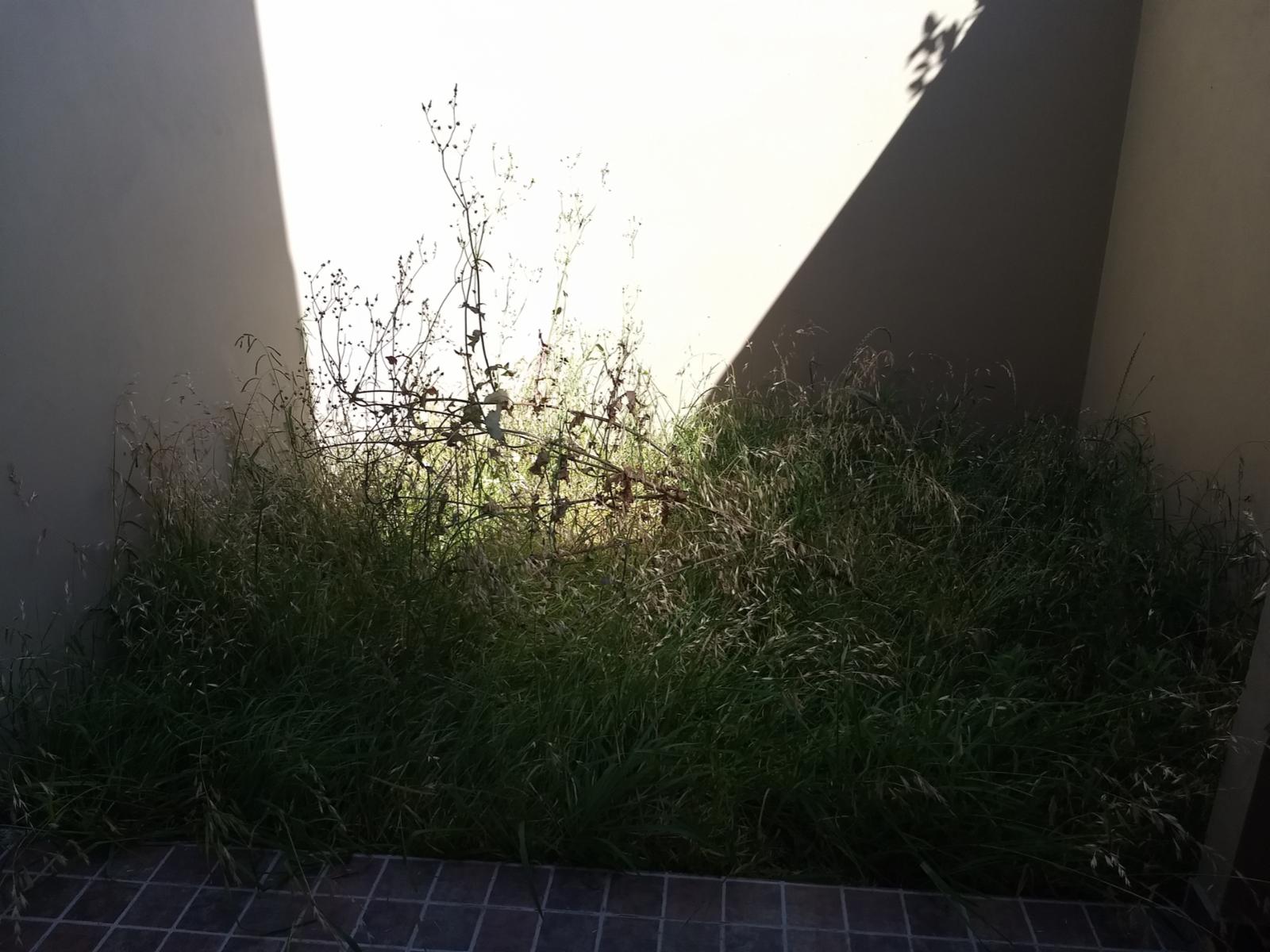 Venta departamento de 2 ambientes Villa Luzuriaga