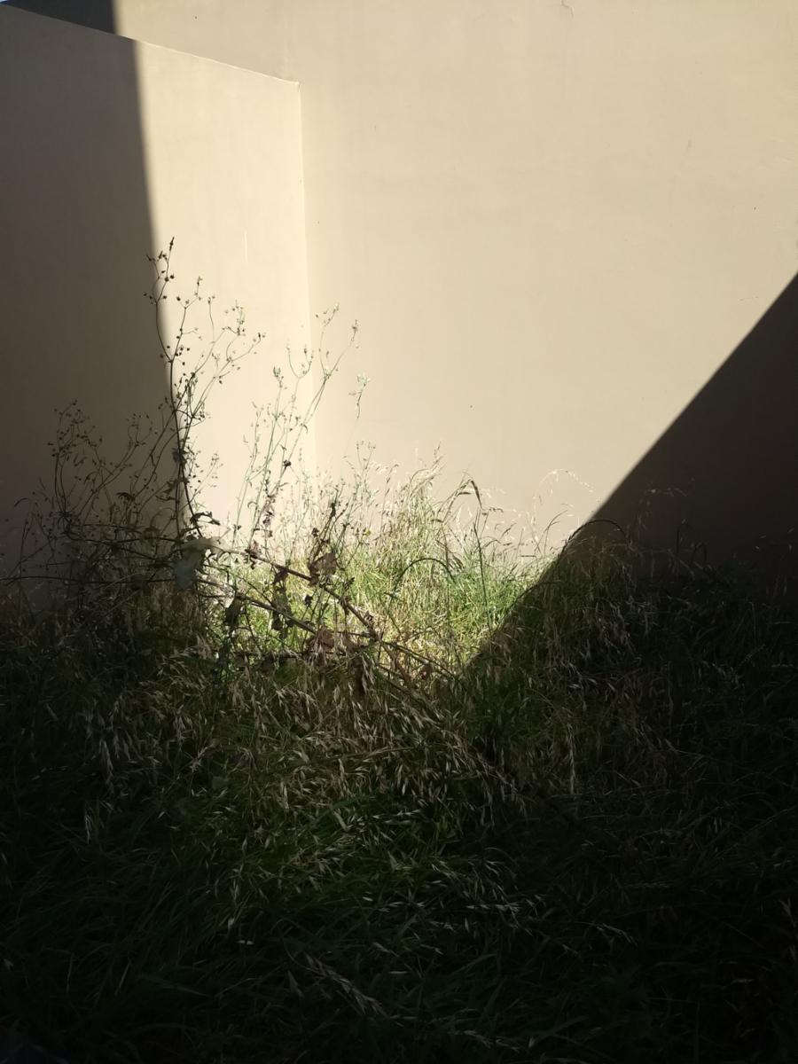 Venta departamento de 2 ambientes Villa Luzuriaga — foto 2