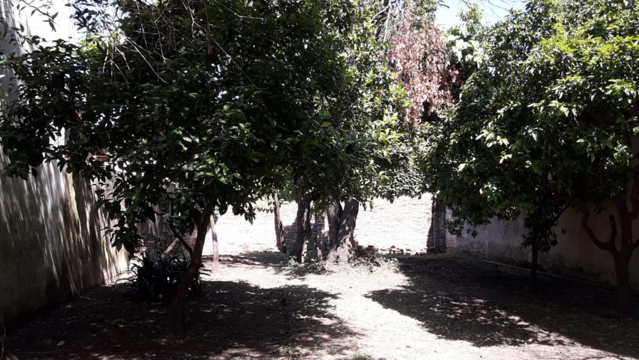 Venta de casa con local Ramos Mejía — foto 14