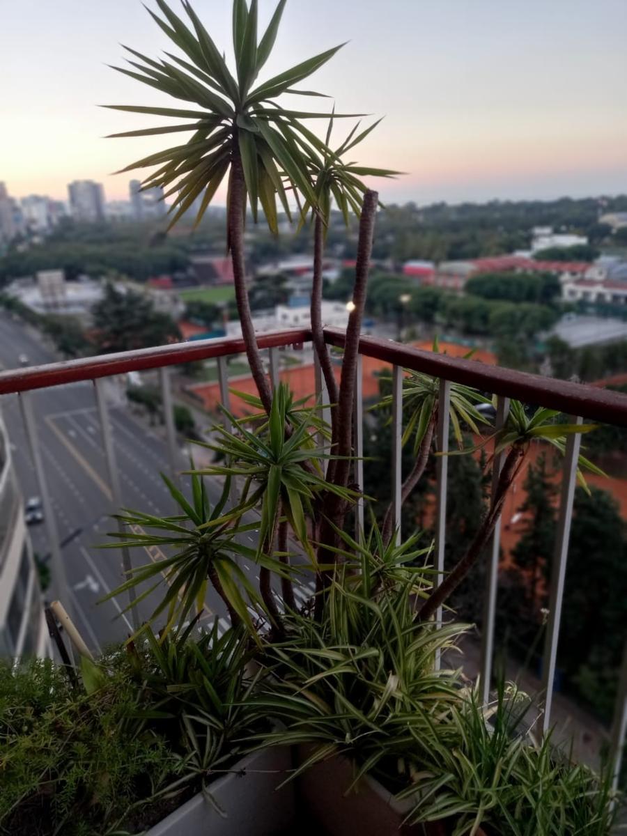Venta de departamento 5 ambientes Nuñez — foto 2