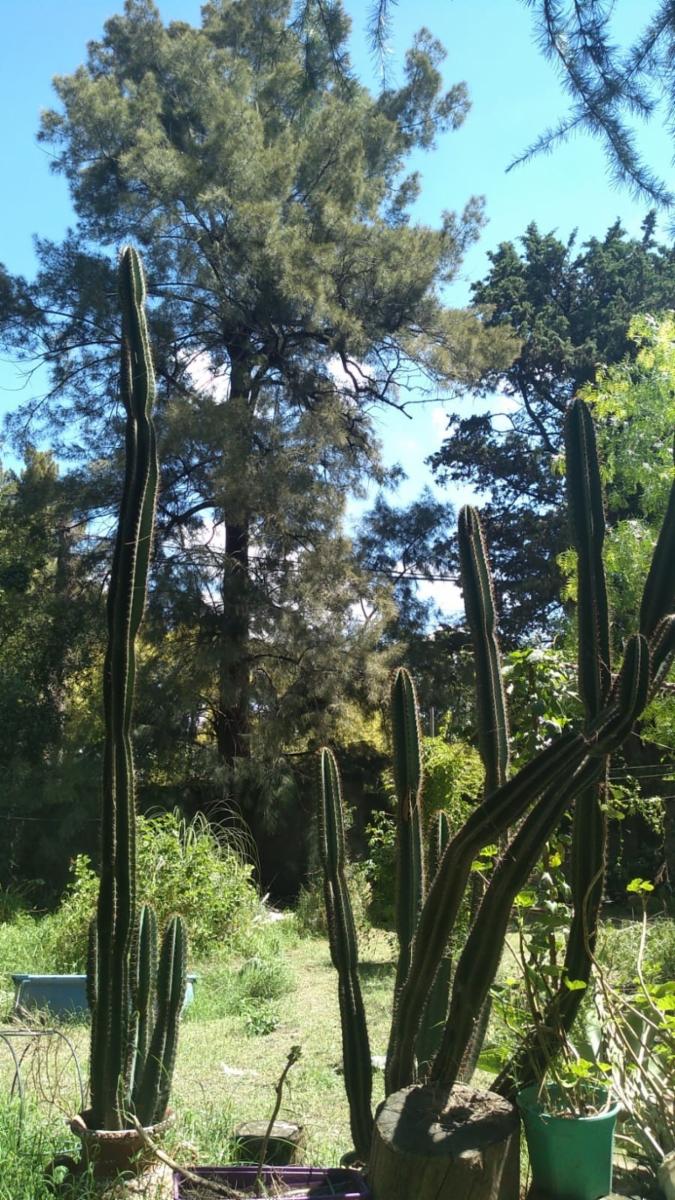 Venta de terreno Parque Leloir — foto 2