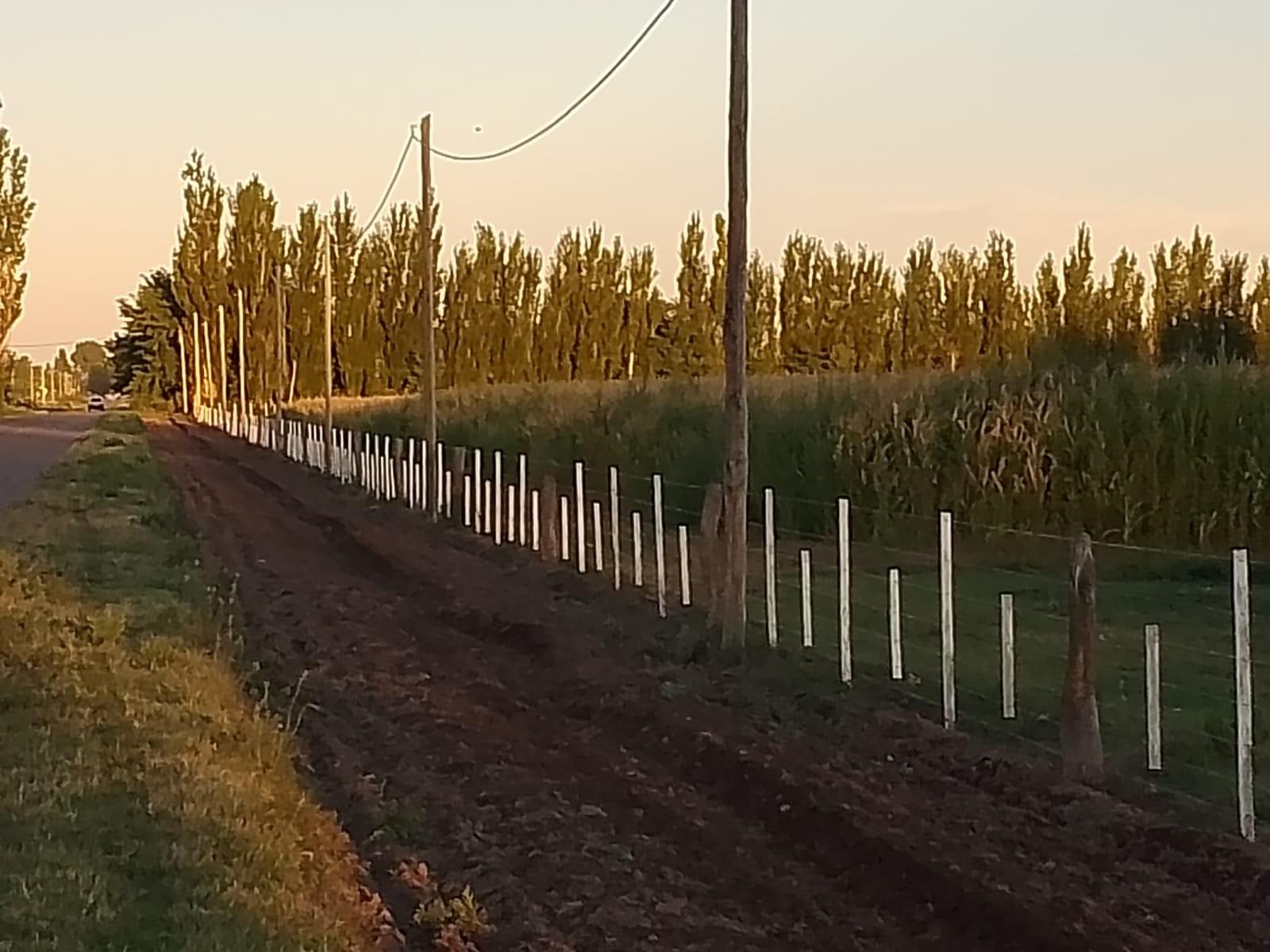Venta de 26 hectáreas con casa, galpón monoambiente General Alvear Mendoza - 20
