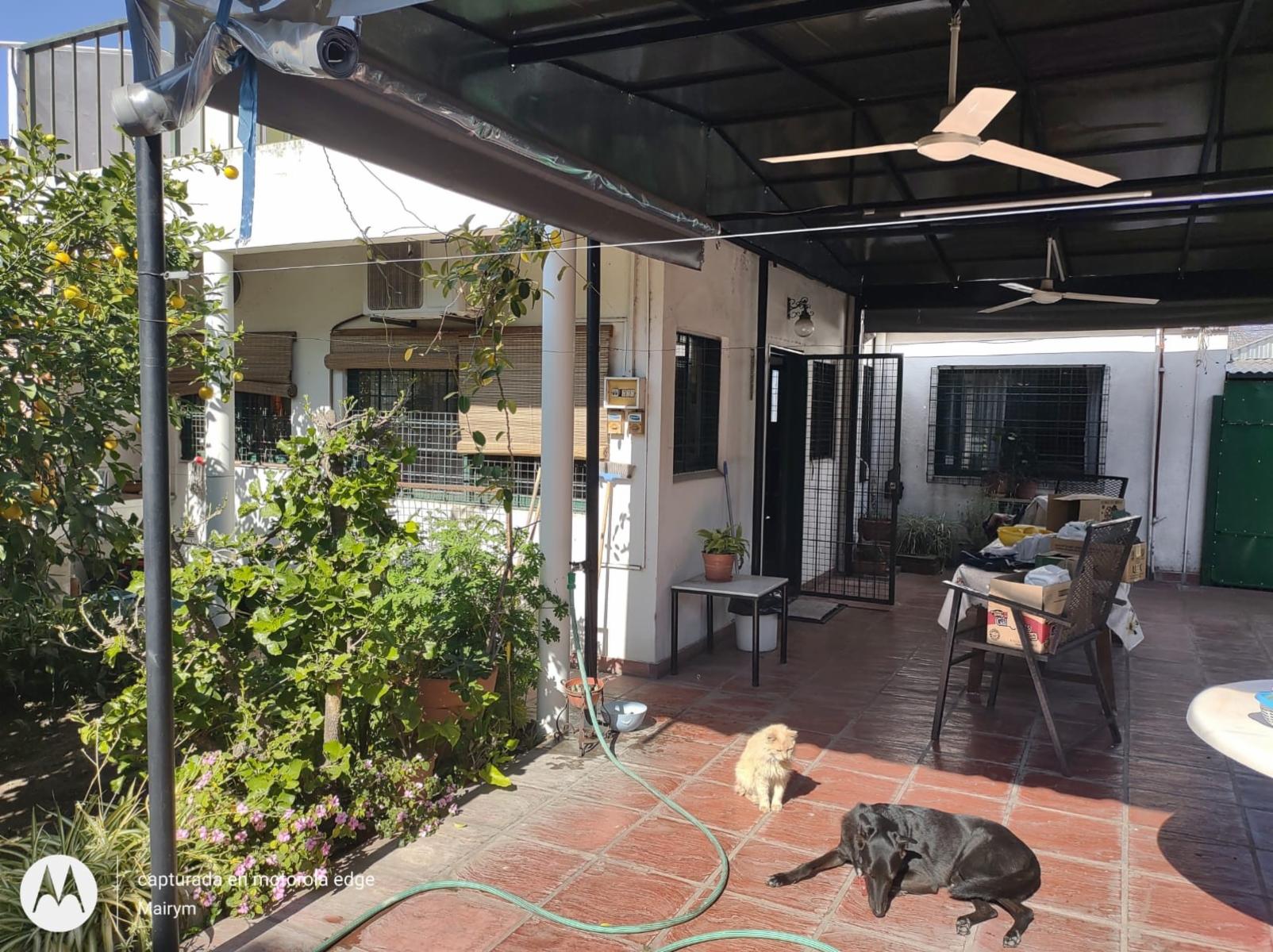 Venta / casa 4 ambientes / Lote 10 x 36 /Castelar — foto 13