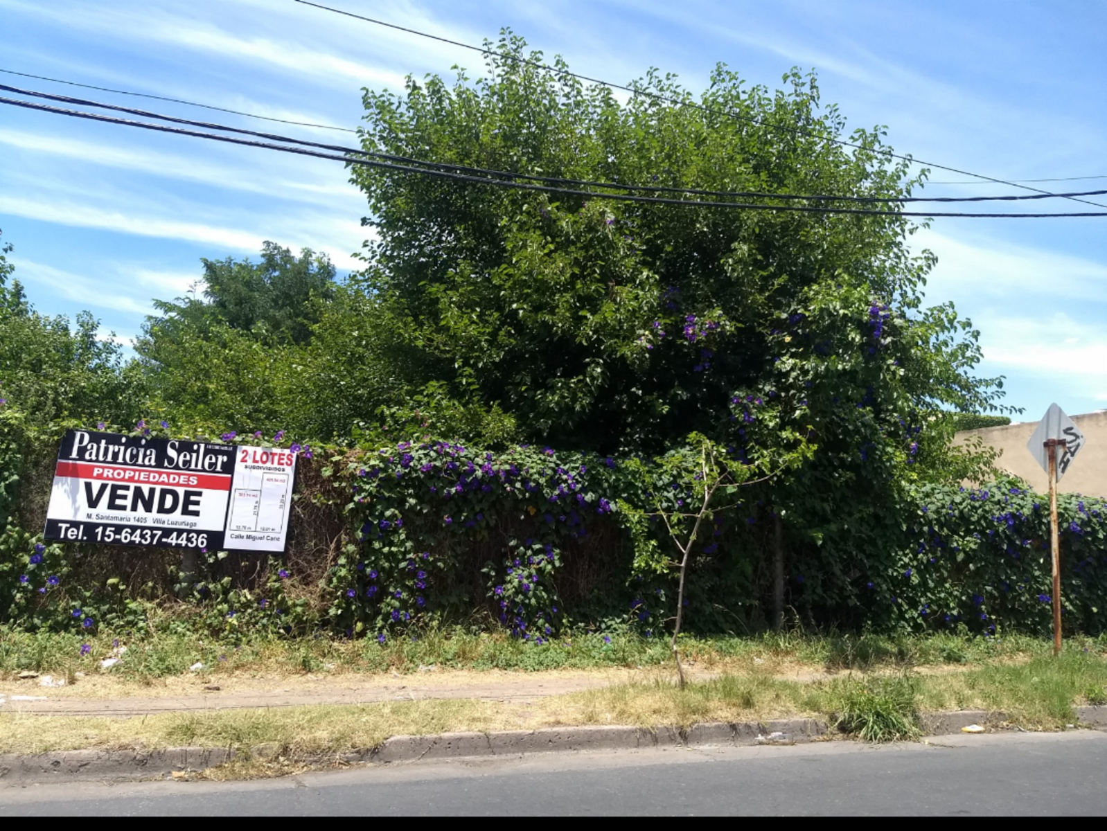 Venta de lote en Villa Luzuriaga — foto 8
