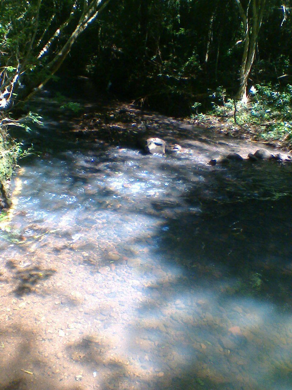 Vendo Chacra de 13 has. Excelente oportunidad... - 5