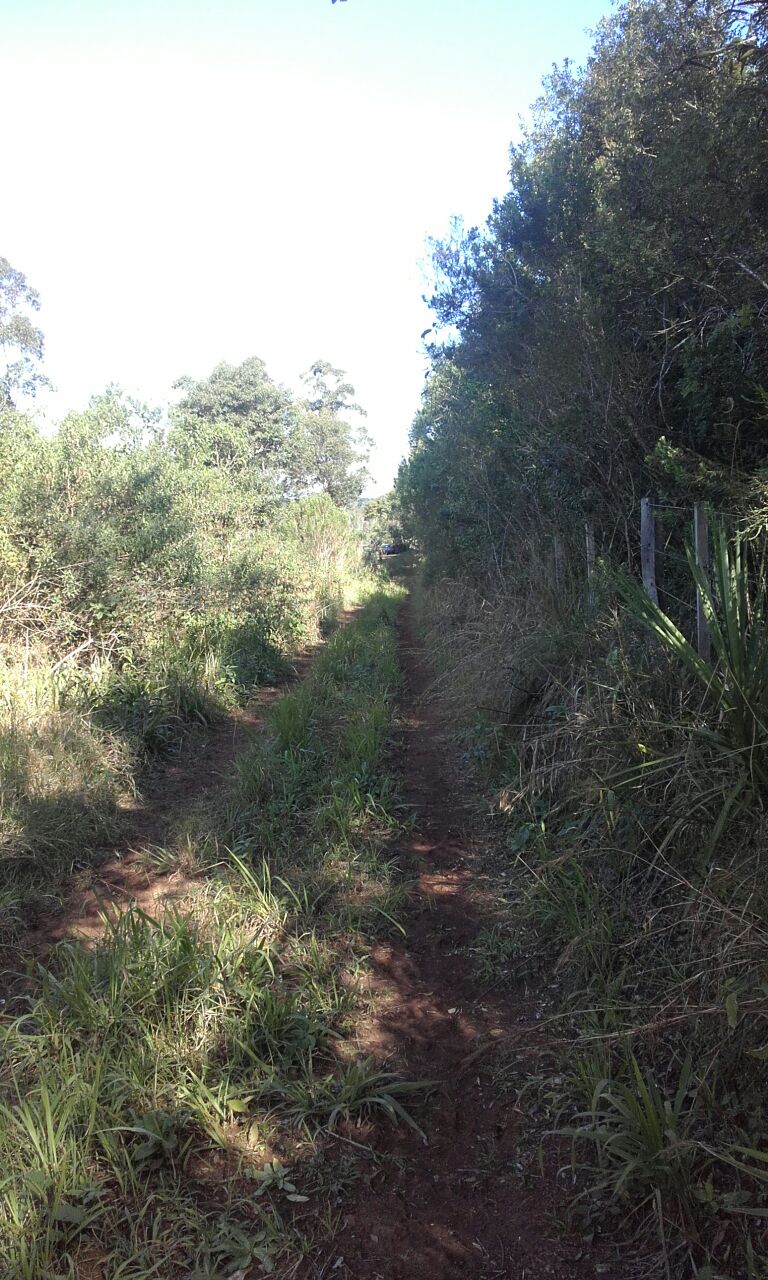 ALQUILER DE CAMPO GANADERO 330 has. - 9