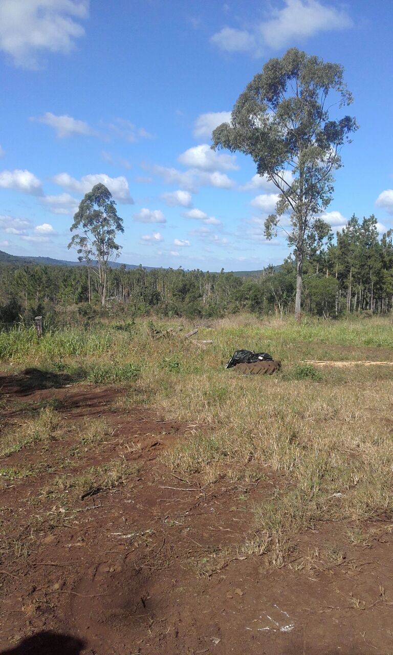 ALQUILER DE CAMPO GANADERO 330 has. - 10