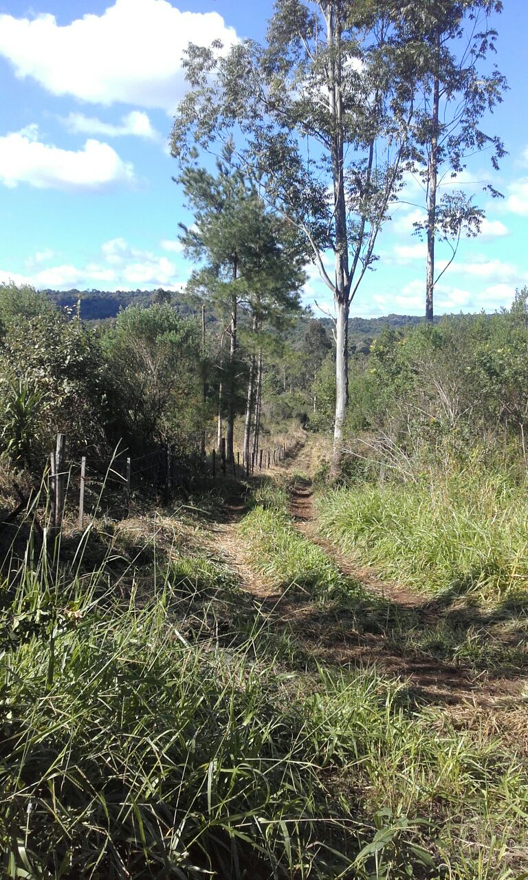 ALQUILER DE CAMPO GANADERO 330 has. - 13