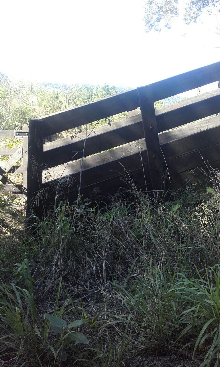 ALQUILER DE CAMPO GANADERO 330 has. - 14