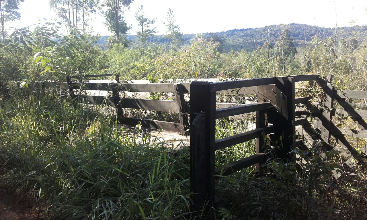 ALQUILER DE CAMPO GANADERO 330 has. - 15
