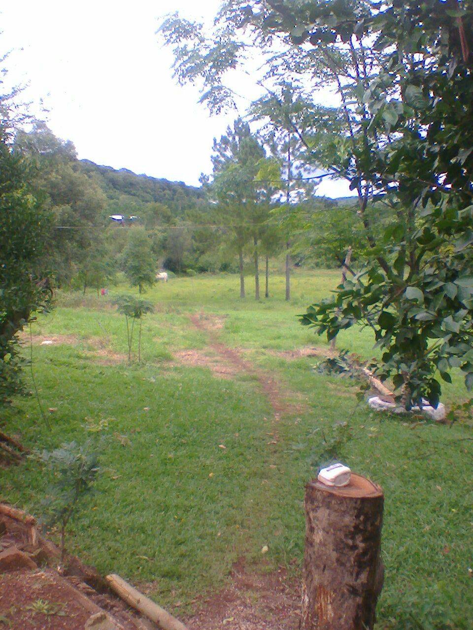 VENDO CHACRA 12 has. - 2