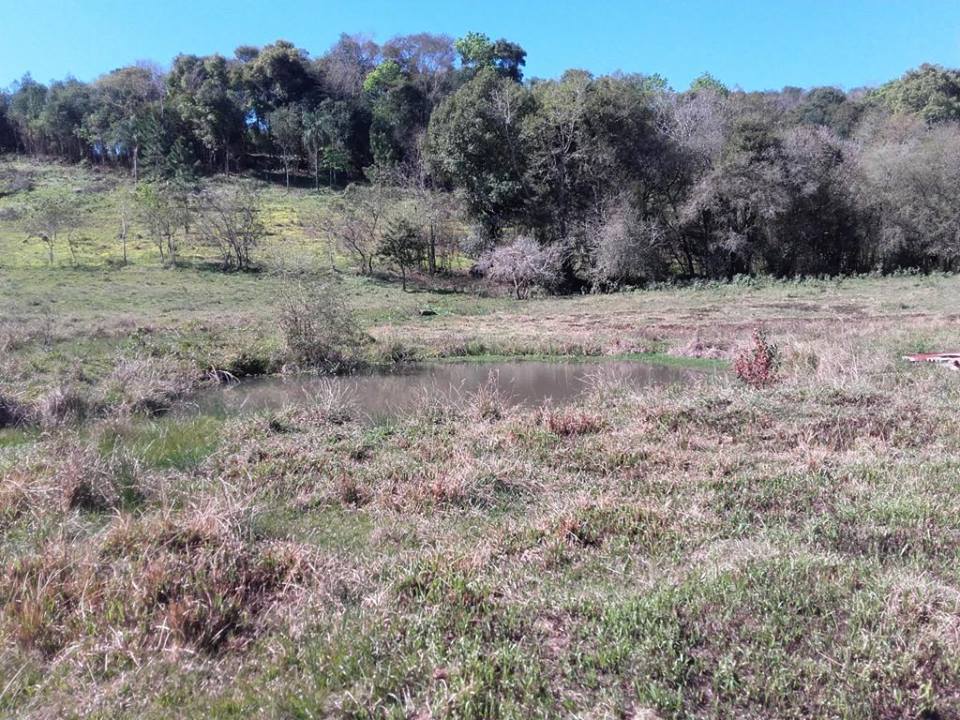 VENDO CHACRA 10 HAS - PROPIEDAD - LEANDRO N. ALEM - MISIONES. - 2