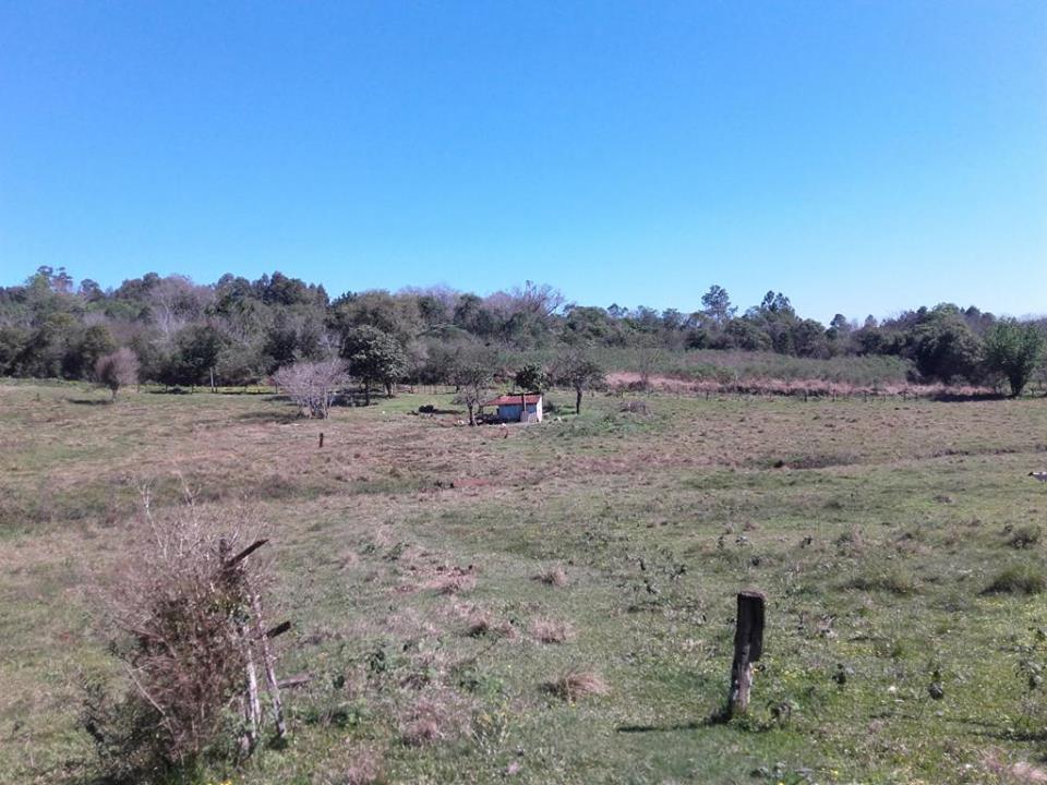 VENDO CHACRA 10 HAS - PROPIEDAD - LEANDRO N. ALEM - MISIONES. - 4