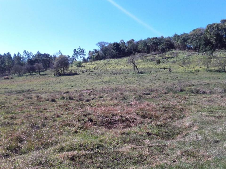 VENDO CHACRA 10 HAS - PROPIEDAD - LEANDRO N. ALEM - MISIONES. - 5