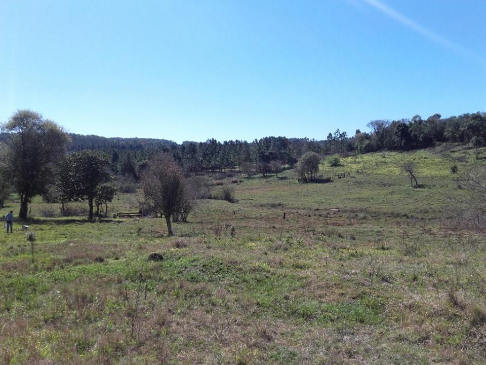 VENDO CHACRA 10 HAS - PROPIEDAD - LEANDRO N. ALEM - MISIONES. - 7