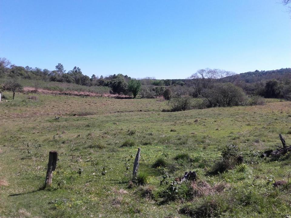 VENDO CHACRA 10 HAS - PROPIEDAD - LEANDRO N. ALEM - MISIONES. - 11